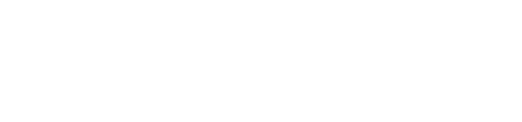 Scheelen Institut Logo Weiss