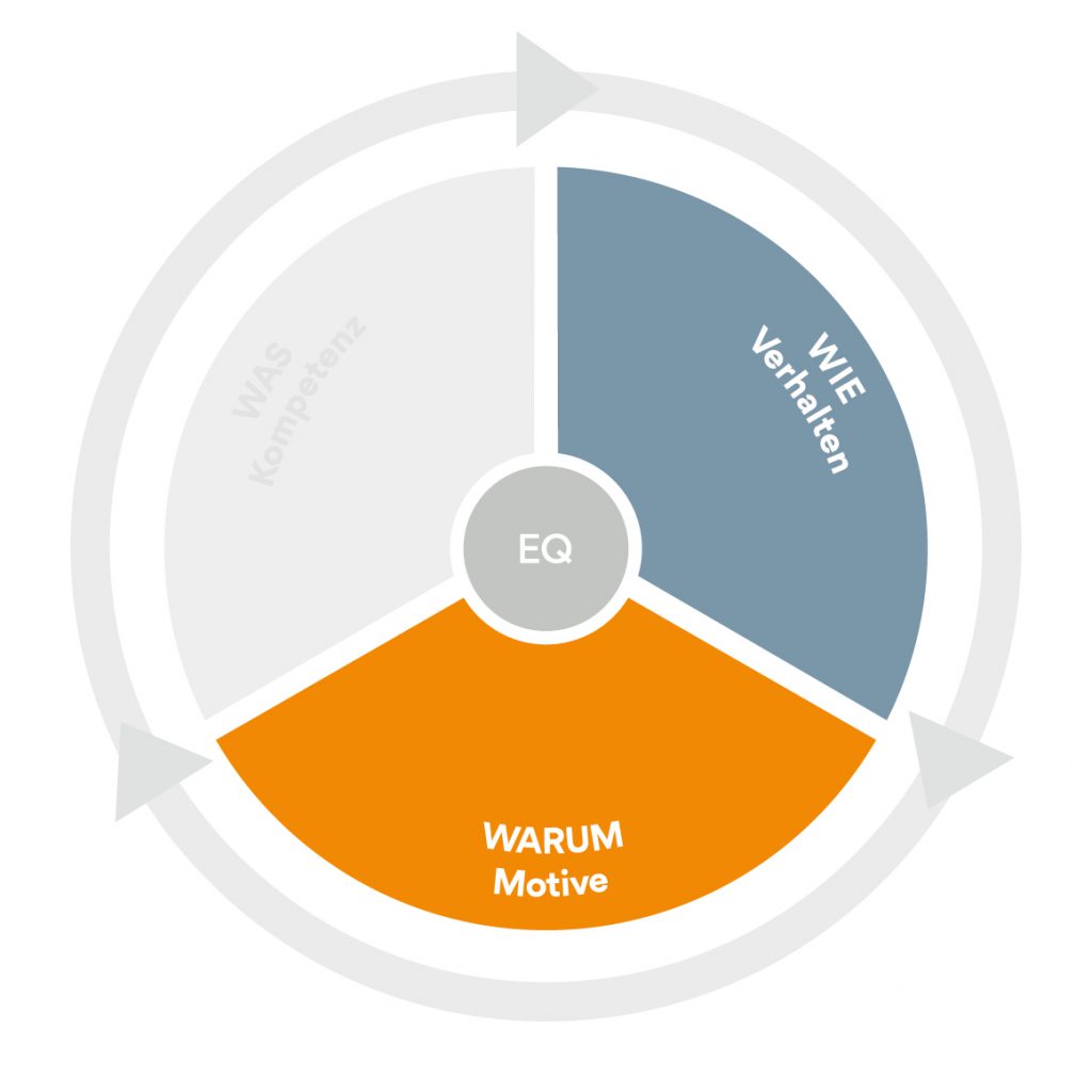 Scheelen Group OneView Infografik