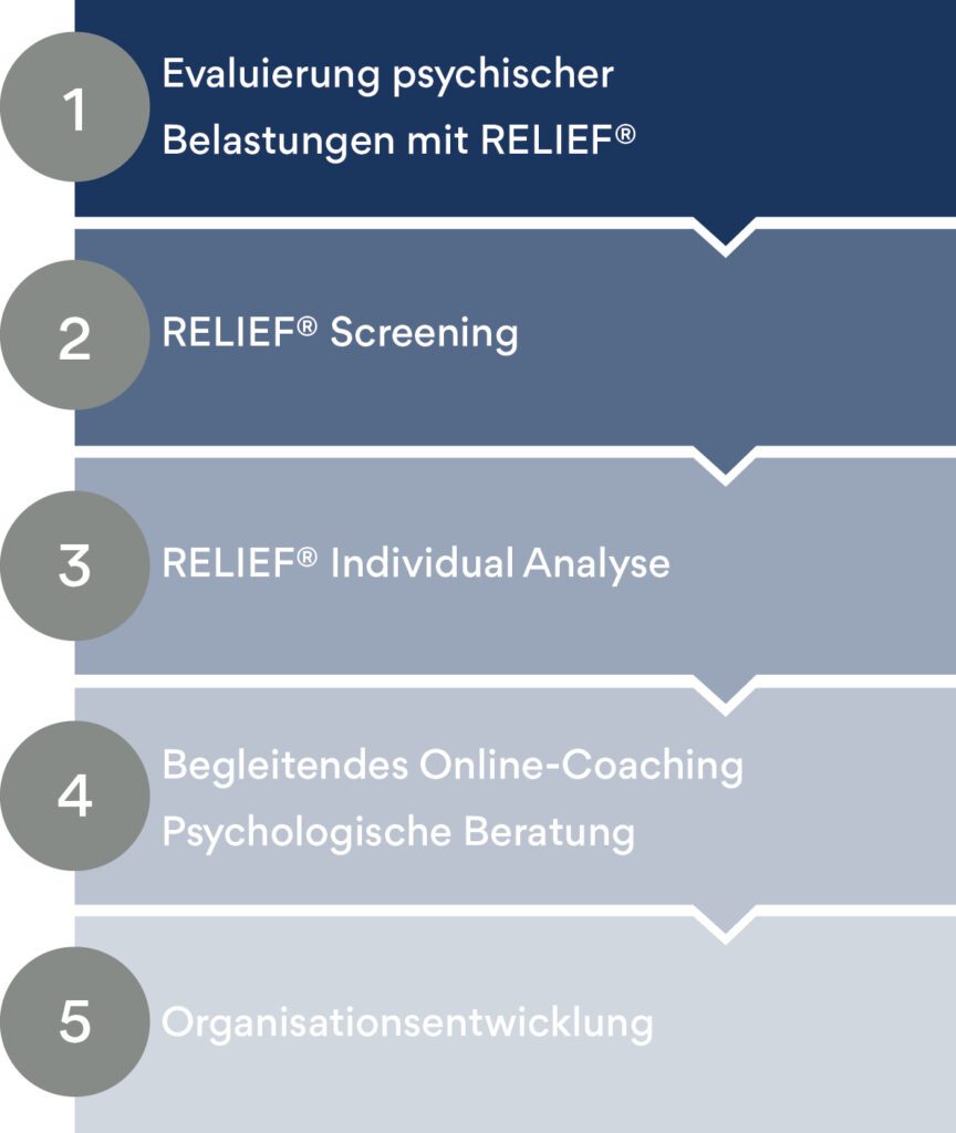 Scheelen Group Relief Infografik